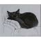 RTO Among Black Cats M668 Cross Stitch Kit
